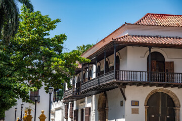 Fototapeta premium Large tree in a park, across from a historic building in the Old Town, Cartagena, Colombia