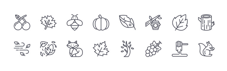 Naklejka premium collection of 16 minimal thin line autumn icons such as orange, wind, maple leaf, maple leaf, bee, fox, pumpkin, maple leaf, leaf. editable stroke vector illustration isolated on white