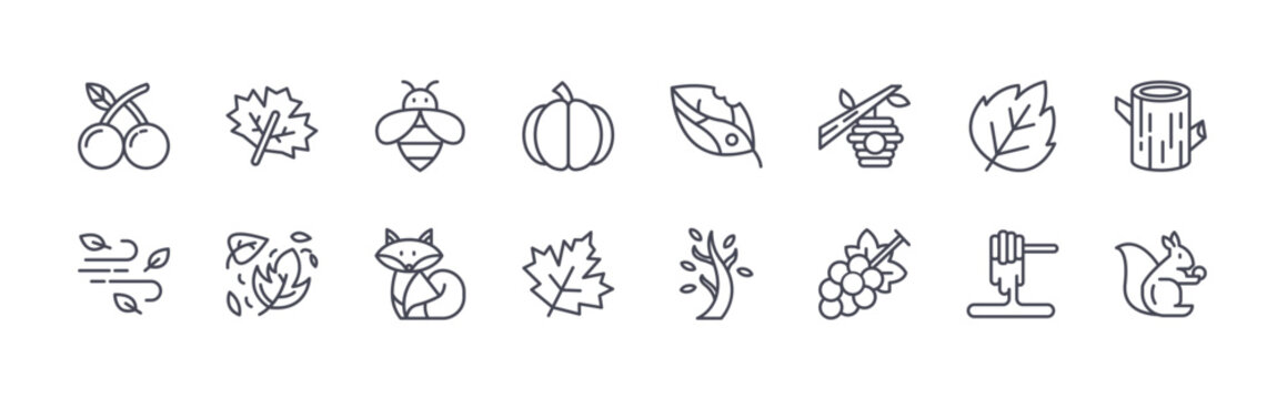 collection of 16 minimal thin line autumn icons such as orange, wind, maple leaf, maple leaf, bee, fox, pumpkin, maple leaf, leaf. editable stroke vector illustration isolated on white