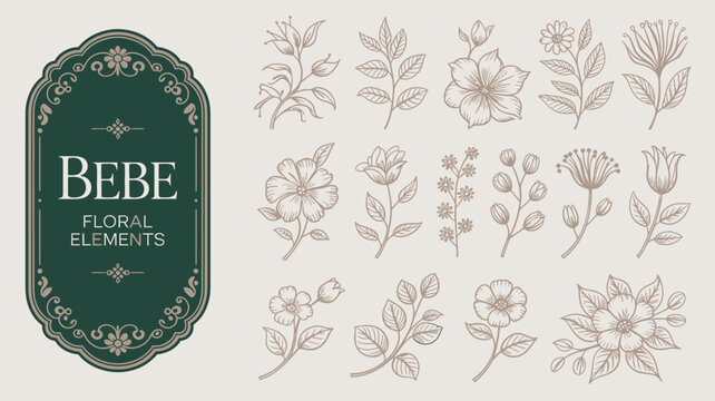 A vintage style design showcases botanical illustrations and the word bebe within an ornate decorative frame high quality professional detailed modern elegant stylish clean crisp vibrant