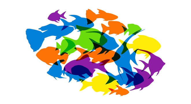 Colorful Fish School Swimming Together.