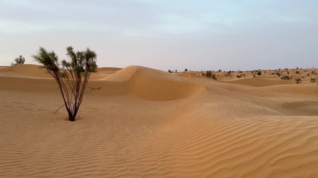Beautiful Sahara Red Desert Landscape of Tunisia