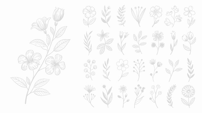 A collection of delicate hand drawn floral and botanical illustrations in grayscale featuring various flower types and leafy branches high quality professional detailed modern elegant stylish