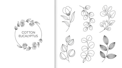 A collection of delicate line art illustrations featuring cotton and eucalyptus botanical elements arranged in wreaths and individual stems high quality professional detailed modern elegant stylish © Peradox