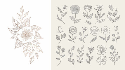 A collection of delicate hand drawn floral illustrations in muted brown tones featuring various flower types and leafy botanical elements high quality professional detailed modern elegant © Peradox