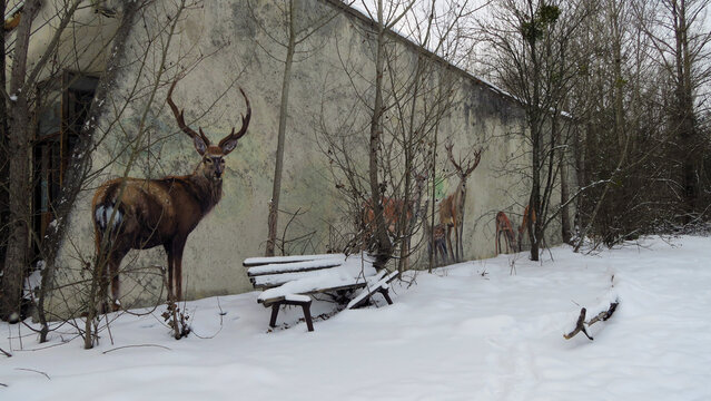 Pripyat, Ukraine. Painting in abandoned building in Chernobyl exclusion zone