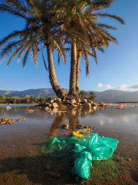 Plastic pollution in palm oasis lagoon copy space