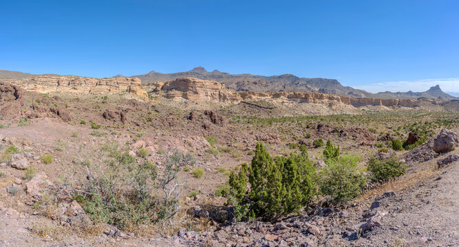 Arizona landscape wilderness near Oatman AZ.