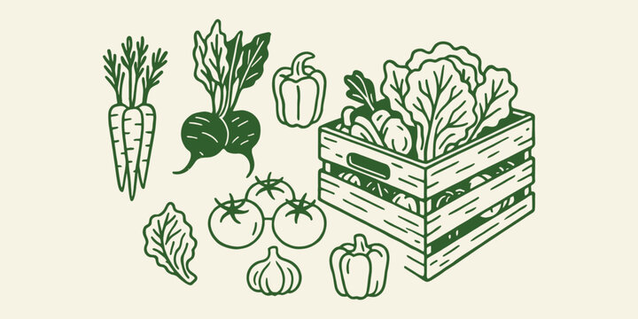 Vegetable crate set with carrot lettuce cucumber tomato and onion in outline sketch hand drawn vector illustration