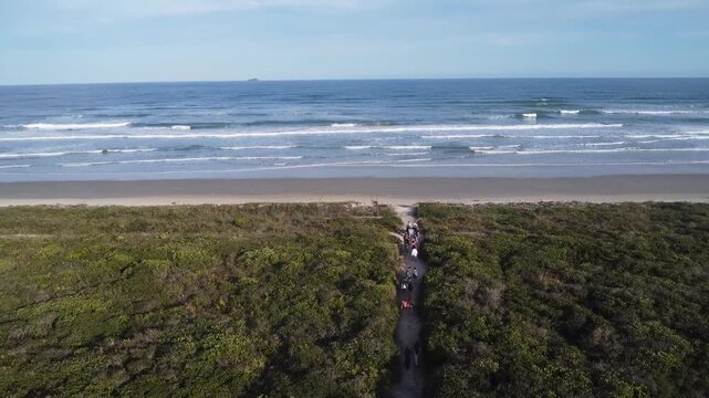 Restinga Forest and Sandy Beach on the Southern Coast of Brazil&rdquo;