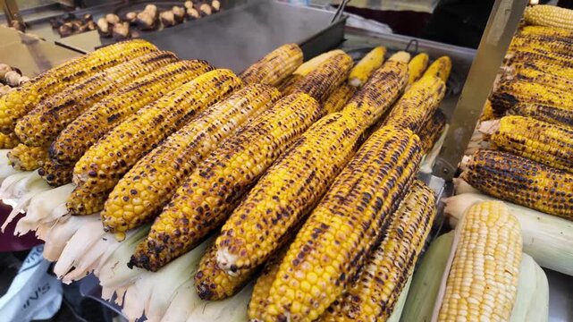 A close up view of roasted street corn on the cob on display at a street food market.