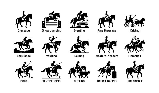 Equestrian disciplines icons: dressage, jumping, vaulting, cutting, polo