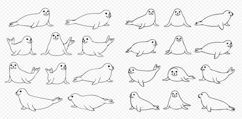 Set of cute cartoon seals and sea lions in various poses, black and white outline illustrations. © Akun