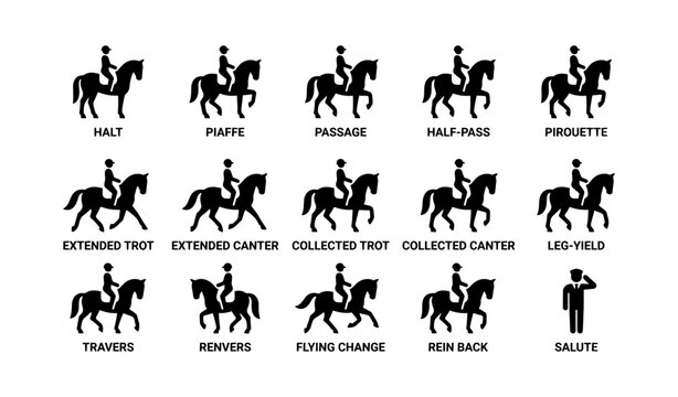 Horse dressage movement silhouettes with male riders and commands