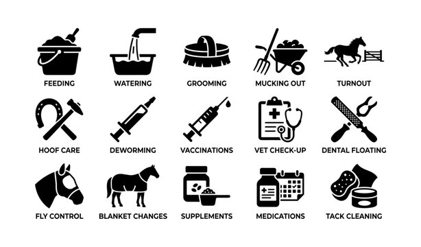 Icons depicting horse care activities: feeding, grooming, medical care, and more