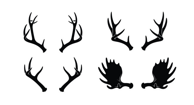 Collection of various deer and moose antler silhouettes vector graphic designs for nature concepts