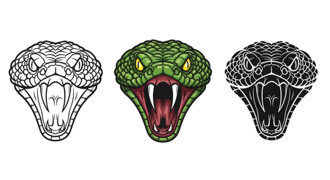 Ferocious viper head vector illustration set showing colored line art and silhouette designs