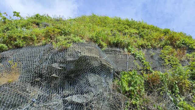 道路沿いの岩肌を覆う落石防止ネットと風に揺れる雑草