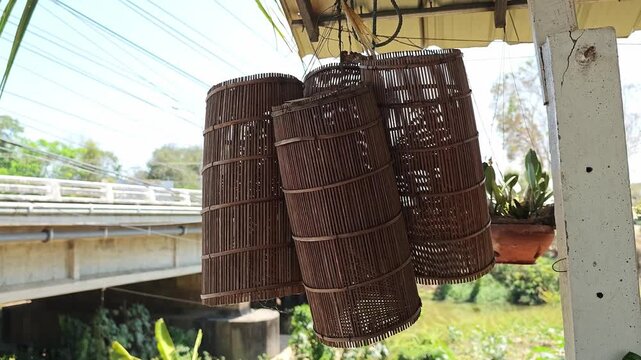 Traditional bamboo fishing trap (bubu).
