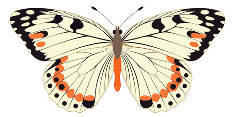 A detailed illustration of a patterned butterfly with orange accents © Kabita