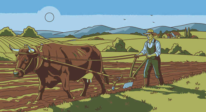 Man plowing field with brown oxen 2.