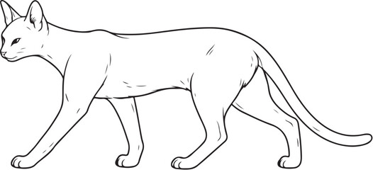 Obraz premium Savannah cat walking side profile line art illustration black and white feline