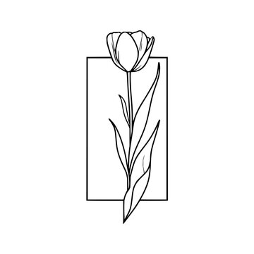 Tulip Flower Line Art on Rectangle Background