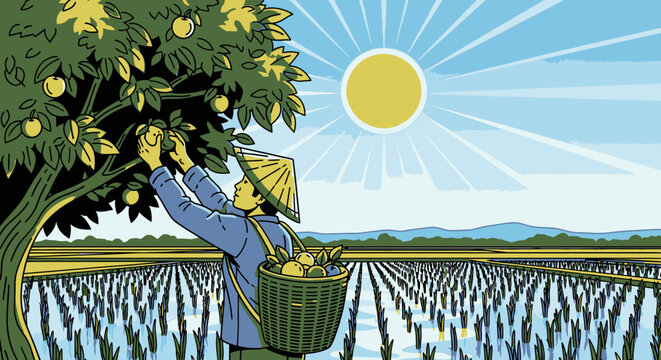 Man picking lemons from tree branch.