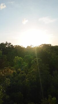 Vertical screen Sunrise Over Lush Siquijor Forest, Drone Ascending Above Dense Tropical Canopy, Golden Sun Rays Filtering Through Leaves, Gentle Lens Flare, Calm Atmosphere, Morning Glow, Ecology