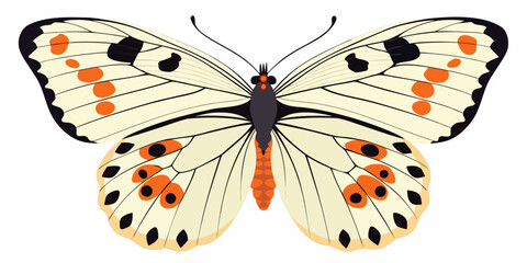 A colorful butterfly with spotted wings is shown in a graphic illustration © Raju