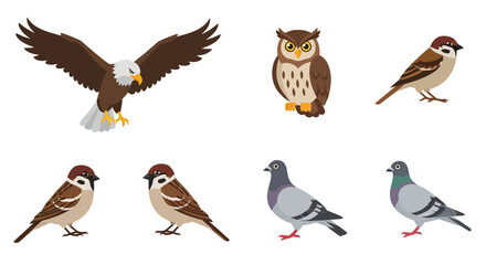 Fototapeta premium Birds of Different Species Flying Standing.