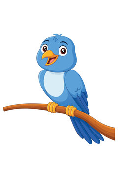 Cute blue bird sitting on tree  branch cartoon vector illustration isolated on white background