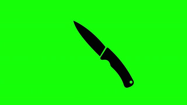 Kitchen Knife Silhouette Icon on Green Screen &ndash; Cooking Tool Concept