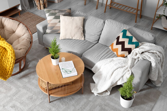 Interior of living room with sofa, table and Cypress trees, top view