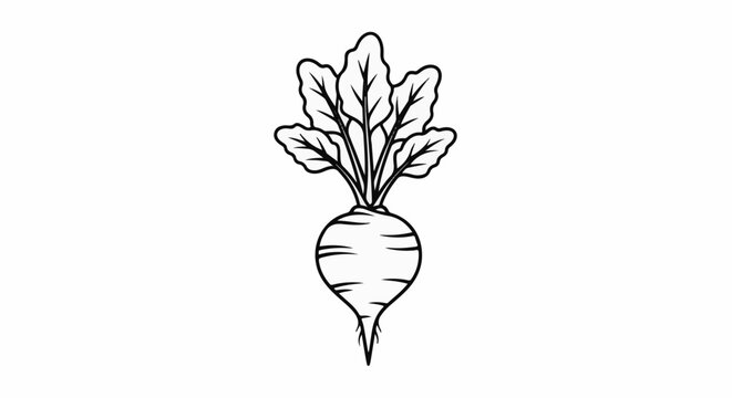 Black and white outline illustration of a single beet with leafy green tops