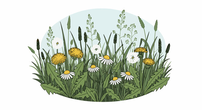A simple illustration of wildflowers, dandelions, and grasses under a light sky