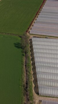 Sustainable Greenhouse Agriculture Farm Complex Aerial View