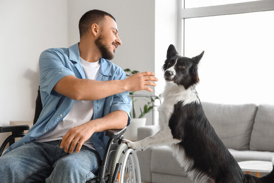 Young man in wheelchair and with dog at home