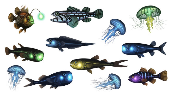 Set of Deep Sea Bioluminescent Fish and Jellyfish Illustrations