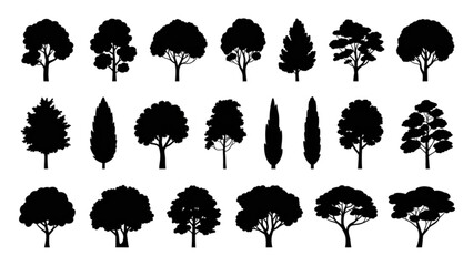 Colorful unicorn with rainbow mane and tail standing gracefully on all fours Vector © MDSOPON