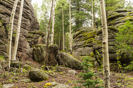 USA, Arizona, Springerville.  White Mountains.  interesting rock formation on the Mount Baldy trail.