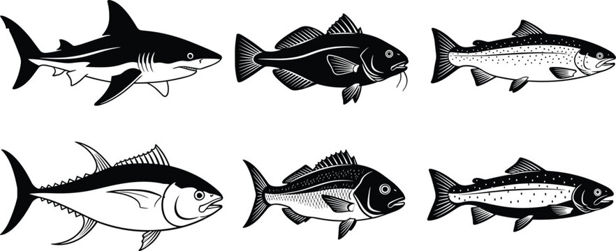 Collection of six fish silhouettes including shark, catfish, trout, tuna, and sea bream, marine freshwater wildlife illustration design