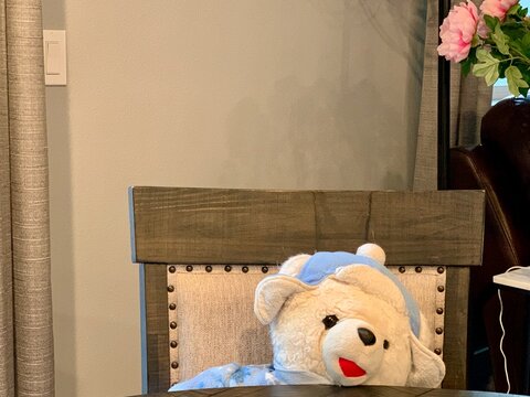 A cute 'Beary' teddy bear sitting upright in a chair at a dining room table in Oceanside, California.