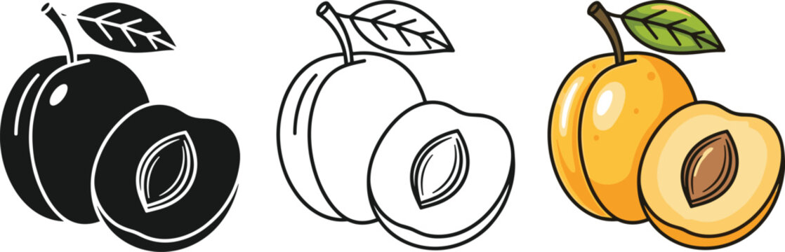 Set of colorful outlined and silhouette plums apricots and plum fruit with pit isolated vector.