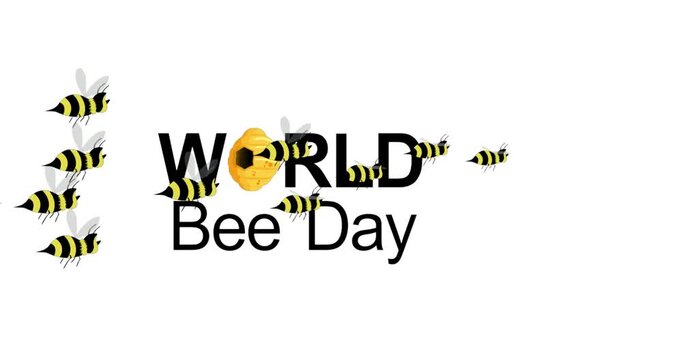 World bee day with animated bees flying around, white background