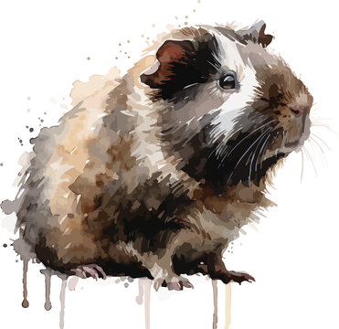 Watercolor Guinea Pig Painting, Small Animal Clipart, illustration isolated on white background