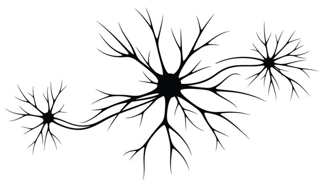 Black and white illustration of three branching neuron cells against a white background