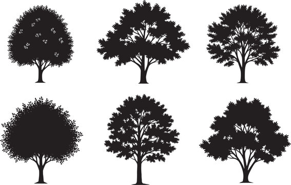 Cad drawing flat vector illustration of various deciduous tree silhouettes for architectural entourage landscape design garden planning and outdoor environmental nature project assets.