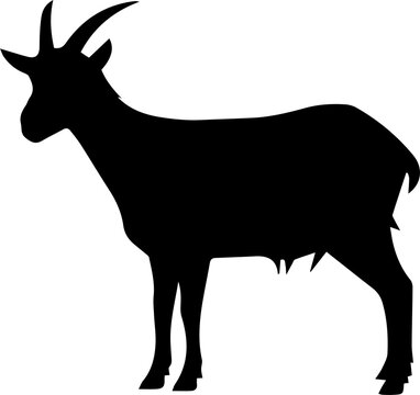 Black Goat Silhouette Vector Illustration Isolated on White Background