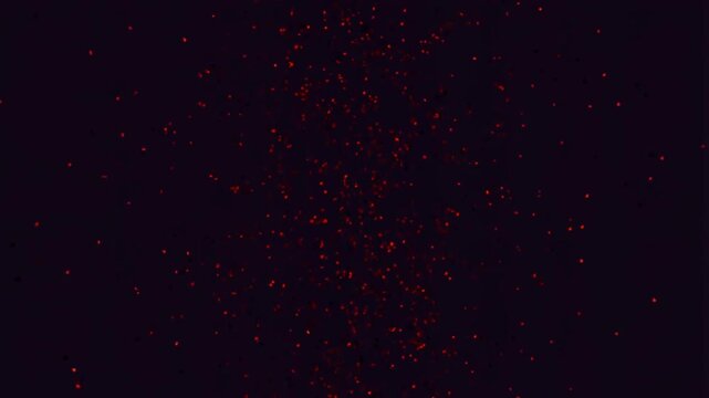 Chaotic red and black particles moving wildly on a dark abstract background gradually slowing down. Visualizing the internal storm of panic attacks and the path to calm.
